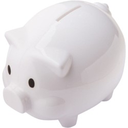 House Shaped Money Box