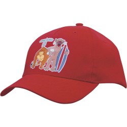 Budget 5 Panel Baseball Cap