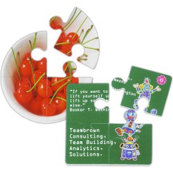 4 Piece Puzzle Coaster